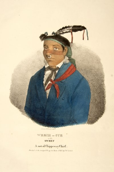 Weesh-cub o El Dulce de James Otto Lewis